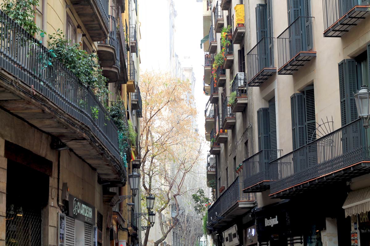 Batiment-barcelona-elygypset